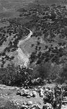 ohne Titel. (Landschaft in Palästina, 1934).