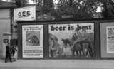 ohne Titel. (Werbeplakate an der Straße "beer is best ").