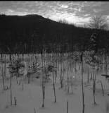 Thumbnail Page  - 