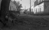 ohne Titel. (Blick in eine Dorfstraße mit weiß getünchten Häusern und zwei Eseln).