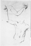 Vorschaubild von Männlicher Torso in Vorderansicht und linker Arm mit Stab (Armstudie).