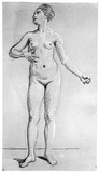 Vorschaubild von Stehender weiblicher Akt, von vorn.