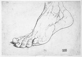 Vorschaubild von Studie: Nackter linker Fuß, Seitenansicht von außen.
verso: Fuß in Vorderansicht, auf dem Ballen aufsetzend.