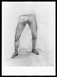 Vorschaubild von Beinstudie des jungen Mannes. (Studie zu Schadow 508.)