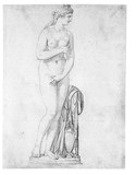 Vorschaubild von Kapitolinische Venus, nach der antiken Statue.