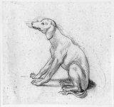 Vorschaubild von Sitzender Hund, Seitenansicht nach links.