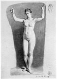 Vorschaubild von Stehender weiblicher Akt von vorn mit erhobenen Armen.