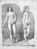 Vorschaubild von Zwei stehende weibliche Akte mit offenen Haaren (Eva).