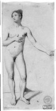 Vorschaubild von Stehender weiblicher Akt (mit der Hand auf der Brust), von vorn.
verso: Jünglingsakt in Modellstellung.