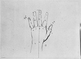 Vorschaubild von Studie zu einer linken Kinderhand.