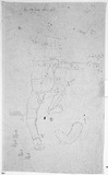 Vorschaubild von Proportionsstudie eines männlichen Säuglings, von vorn und Armstudie.
verso: Seiten- und Rückenansicht des Säuglings und Ohrstudie.