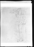 Vorschaubild von Apollino in Ponderation, Proportionsstudie.