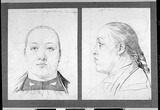 Vorschaubild von Kopf der (Großen) Schweizerin Caterina Böbner, en face und im Profil nach links.