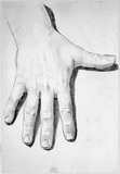 Vorschaubild von Die rechte Hand des Johann Ehrentreu Theodor Licht.