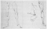 Vorschaubild von Beinmuskulatur- und Skelettstudien.