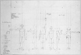 Vorschaubild von Proportionsstudien nach dem elfjährigen Heinrich und nach dem neunjährigen Gottlob Veit,  in Vorder-, Seiten-, Rückenansicht.
