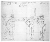 Proportionen eines 12 jährigen Heinrich Veit, in Vorder-, Seiten-, Rückenansicht und in Ponderation. 
Enthält 
.