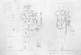 Vorschaubild von Proportionen des Athleten Lesbenier, in Seiten-, Vorder- und Rückenansicht sowie eine Fußstudie.