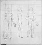 Vorschaubild von Proportionsstudien eines 15 jährigen Jünglings, in Vorder-, Seiten- und Rückenansicht.