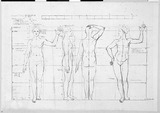 Vorschaubild von Proportionen einer jungen Frau in  Vorder-, Seiten-  und Rückenansicht.