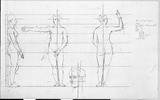 Vorschaubild von Proportionsstudien einer jungen Frau, in Seitenansicht nach rechts, in Vorder- und Rückenansicht.