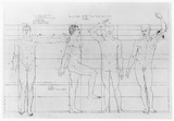 Vorschaubild von Männlicher Körper in den Proportionen des Borghesischen Fechters, in Vorder-, Seiten- und Rückenansicht und in Ponderation.