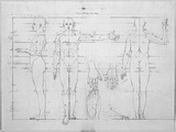Vorschaubild von Proportionsstudien nach Justizrat Bunsen, in Seiten-, Vorder- und Rückenansicht, Arm-, Hand- und Fußstudien.
verso: Skizze eines Damenbildnisses in Spitzenhaube, en face.