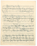 Thumbnail Page  - 