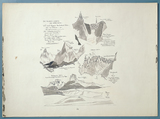 Thumbnail Page  - 