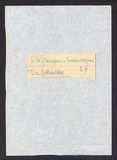 Vorschaubild von [Handbuch der Kunst]
Der Betrachter