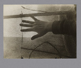 Frauenhand vor einem Netz