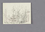Thumbnail Page  - 