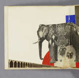 Elefant und Rennwagen
8 Autobilder