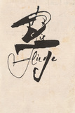 Vorschaubild von Die Fliege. Kalligraphie von Friedrich Poppl.
